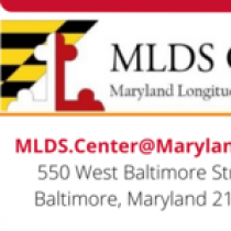 MLDS logo