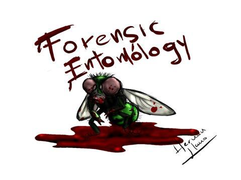 ForensicWeek.com Webcast 3-27-14: Forensic Entomology Forensic Entomology Webcast