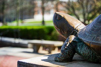 Testudo