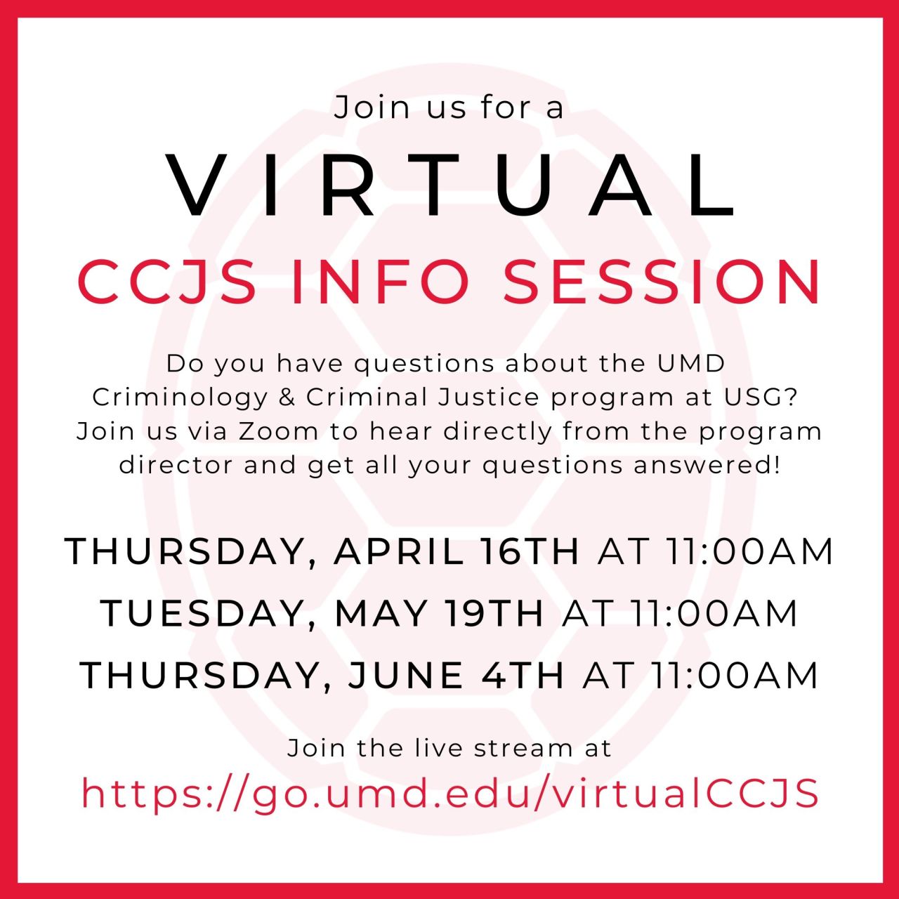 virtual CCJS flyer